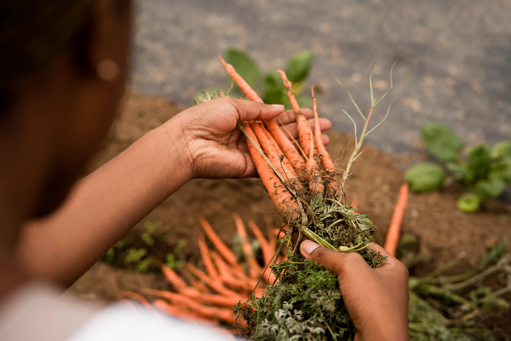 holding-carrots (1)